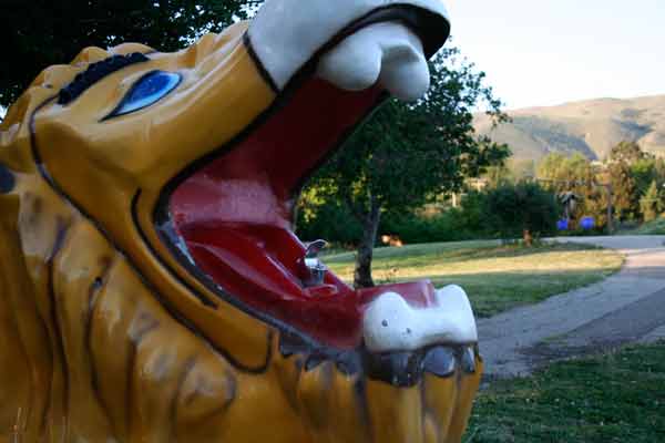 Lion Fountain